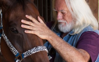 Zoran Hochstatter healing horses