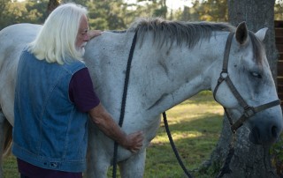 Zoran Hochstatter healing a horse's heart